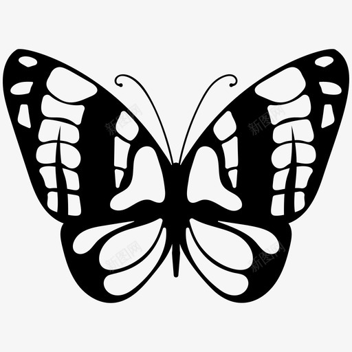 蝴蝶花园昆虫图标svg_新图网 https://ixintu.com 昆虫 春天 花园 蝴蝶 蝴蝶实心图标 飞蛾