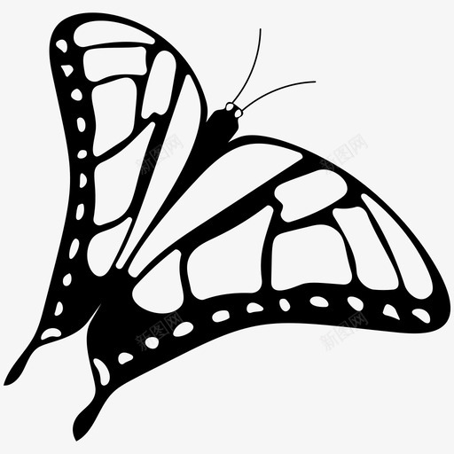 蝴蝶花园昆虫图标svg_新图网 https://ixintu.com 昆虫 春天 花园 蝴蝶 蝴蝶实心图标 飞蛾