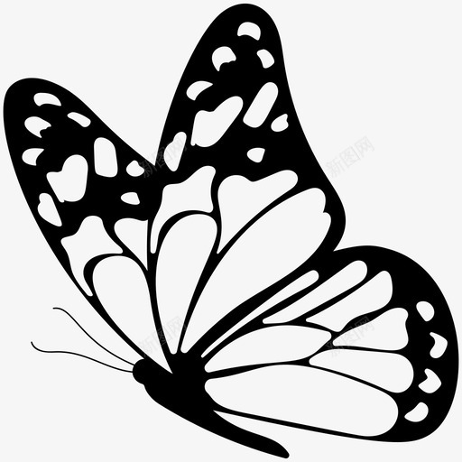 蝴蝶花园昆虫图标svg_新图网 https://ixintu.com 昆虫 春天 花园 蝴蝶 蝴蝶实心图标 飞蛾