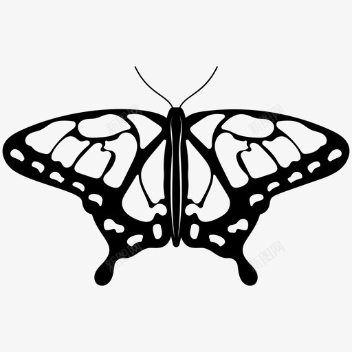 蝴蝶花园昆虫图标svg_新图网 https://ixintu.com 昆虫 春天 花园 蝴蝶 蝴蝶实心图标 飞蛾