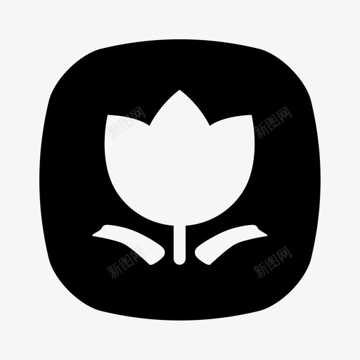一周一花svg_新图网 https://ixintu.com 一周一花