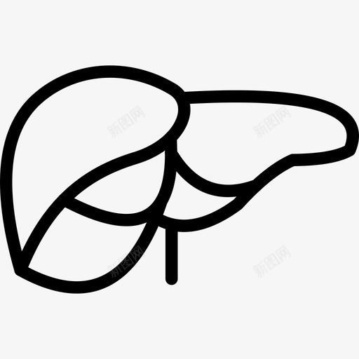 肝脏人体图标svg_新图网 https://ixintu.com 人体 肝脏