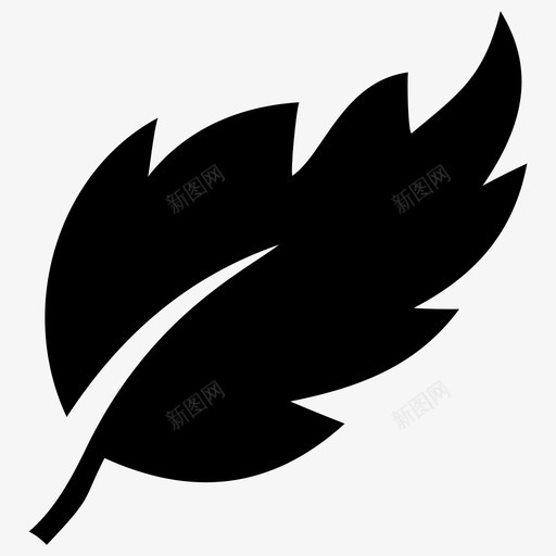桦叶白桦叶绿叶图标svg_新图网 https://ixintu.com 叶字形图标 桦叶 白桦叶 绿叶 锯齿叶