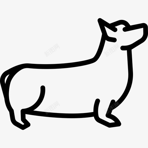 科吉犬犬种全身直系图标svg_新图网 https://ixintu.com 犬种全身 直系 科吉犬