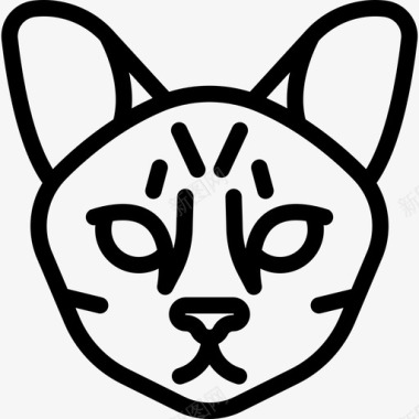 大草原猫动物猫科动物图标图标