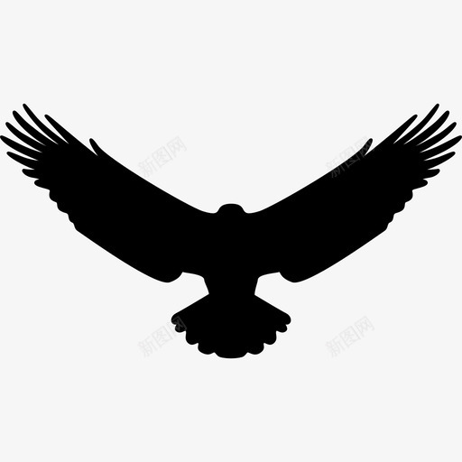 鹰动物鸟的轮廓图标svg_新图网 https://ixintu.com 动物 鸟的轮廓 鹰