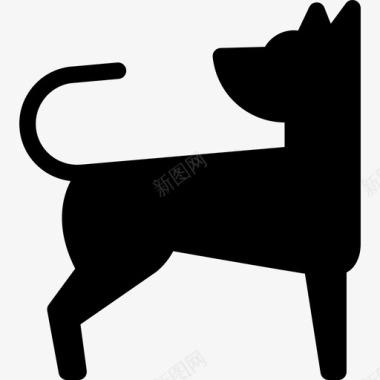 狗追逐尾巴动物狗和训练图标图标