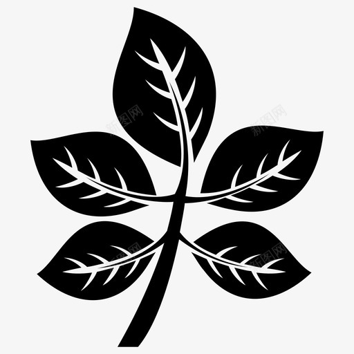 复合叶叶小植物图标svg_新图网 https://ixintu.com 叶 叶字形图标 复合叶 小植物 树枝