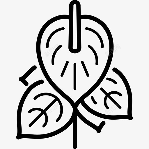 红掌细花线形图标svg_新图网 https://ixintu.com 红掌 线形 细花