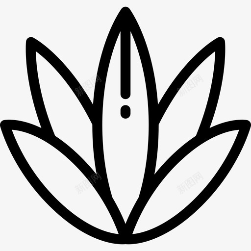 龙舌兰墨西哥元素7直线型图标svg_新图网 https://ixintu.com 墨西哥元素7 直线型 龙舌兰