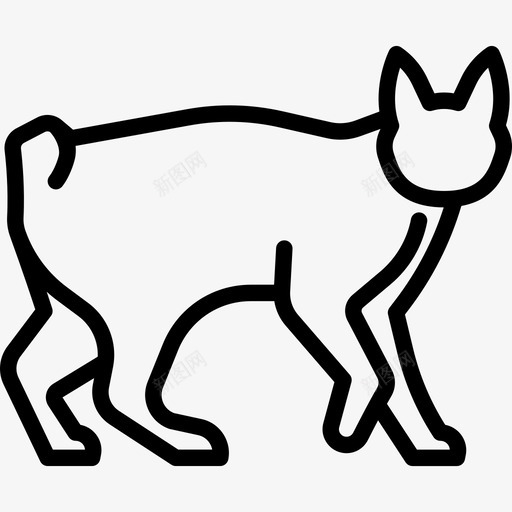 日本短尾猫动物猫种身体图标svg_新图网 https://ixintu.com 动物 日本短尾猫 猫种身体