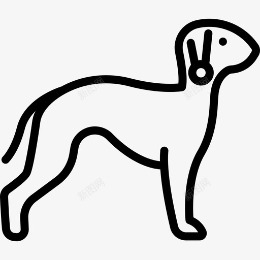 贝灵顿梗犬犬种全身直系图标svg_新图网 https://ixintu.com 犬种全身 直系 贝灵顿梗犬