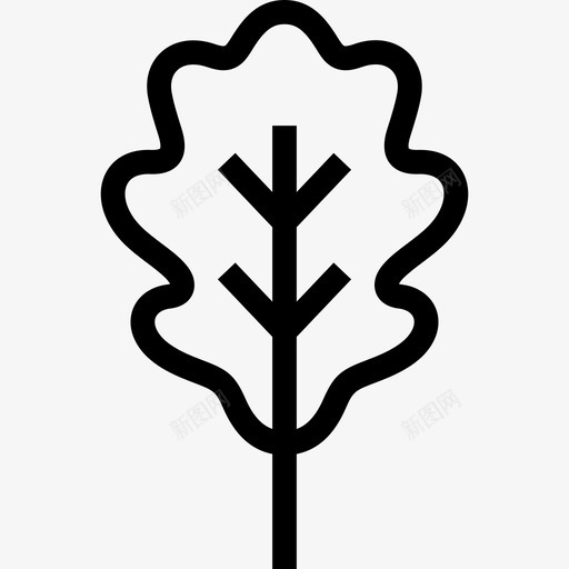 橡树花和叶线形图标svg_新图网 https://ixintu.com 橡树 线形 花和叶
