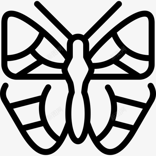 橙色尖端蝴蝶蝴蝶1线形图标svg_新图网 https://ixintu.com 橙色尖端蝴蝶 线形 蝴蝶1