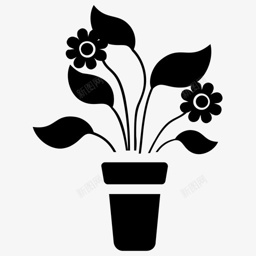 巴伯顿雏菊非洲雏菊开花植物图标svg_新图网 https://ixintu.com 室内植物 室内植物和花卉雕文图标 巴伯顿雏菊 开花植物 非洲雏菊