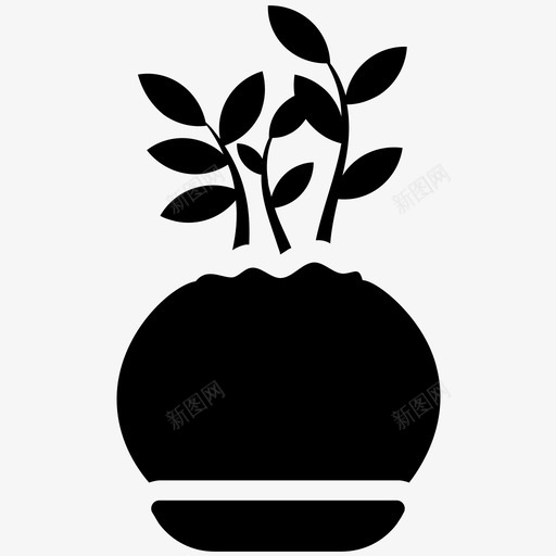 雪佛兰矮伞树七叶树图标svg_新图网 https://ixintu.com 七叶树 室内植物 室内植物和花卉字形图标 盆栽植物 矮伞树 雪佛兰