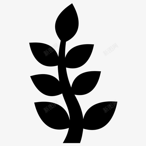 复叶植物自然和生命字形图标svg_新图网 https://ixintu.com 复叶 植物 自然和生命字形图标