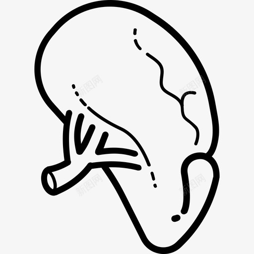 脾脏人体解剖手工制作图标svg_新图网 https://ixintu.com 人体解剖 手工制作 脾脏