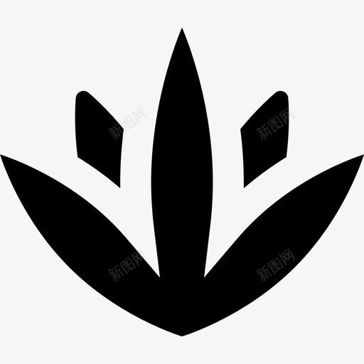 龙舌兰墨西哥元素4填充图标svg_新图网 https://ixintu.com 填充 墨西哥元素4 龙舌兰