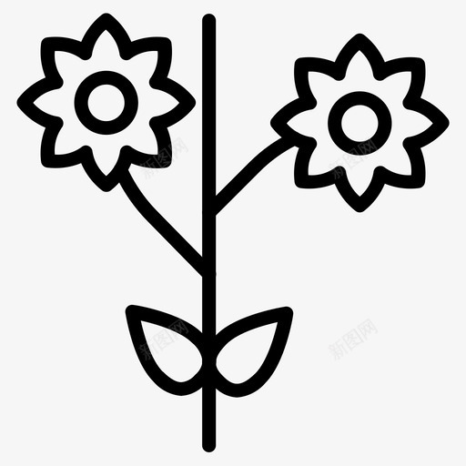 花菊花花园图标svg_新图网 https://ixintu.com 有机 秋天 花 花园 菊花