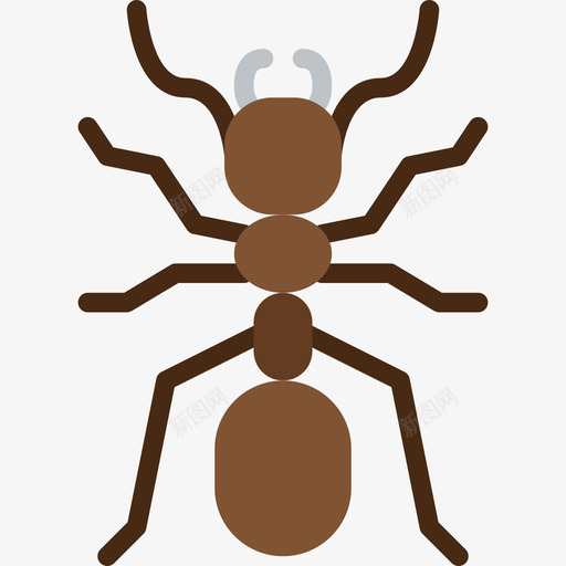 蚂蚁虫子昆虫图标svg_新图网 https://ixintu.com 扁的 昆虫 虫子 蚂蚁