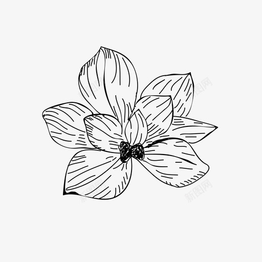 花卉手绘叶图标svg_新图网 https://ixintu.com 叶 手绘 手绘花卉收藏 植物 自然 花卉