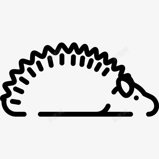 刺猬动物28直系图标svg_新图网 https://ixintu.com 刺猬 动物28 直系