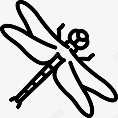 蜻蜓虫子图标图标
