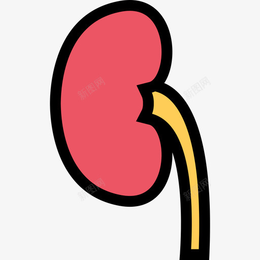 肾脏医疗和牙科颜色图标svg_新图网 https://ixintu.com 医疗和牙科 肾脏 颜色