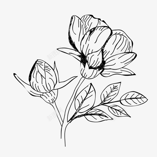 花卉手绘叶图标svg_新图网 https://ixintu.com 叶 手绘 手绘花卉收藏 植物 自然 花卉