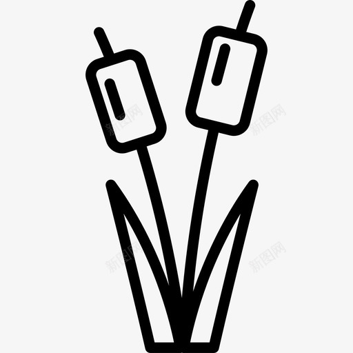 芦苇床自然6线性图标svg_新图网 https://ixintu.com 线性 自然6 芦苇床