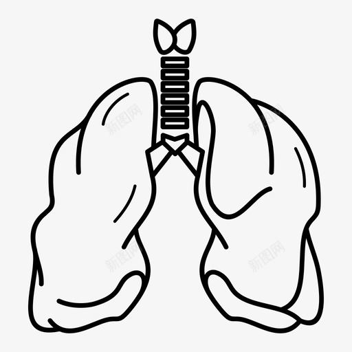 肺解剖学生物学图标svg_新图网 https://ixintu.com 呼吸 支气管 生物学 肺 解剖学