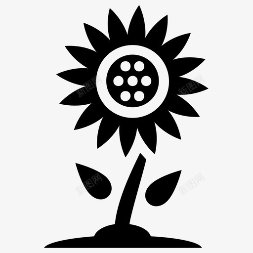 向日葵金雀花蒲公英图标svg_新图网 https://ixintu.com 向日葵 向日葵植物 自然和野餐字形图标 蒲公英 金雀花 黄花