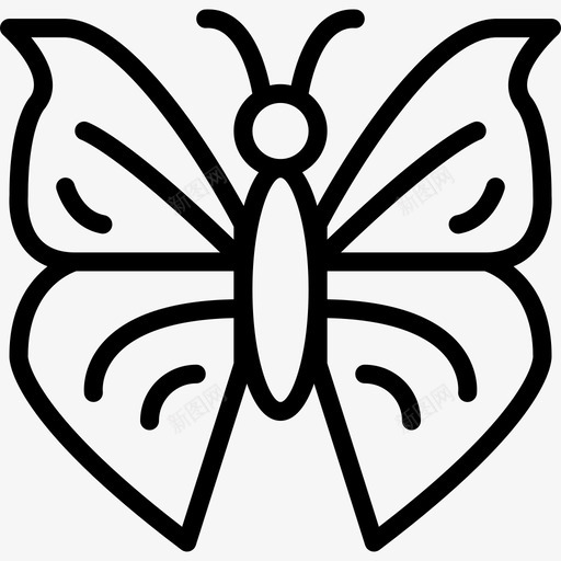 蝴蝶虫虫2线状图标svg_新图网 https://ixintu.com 线状 虫虫2 蝴蝶