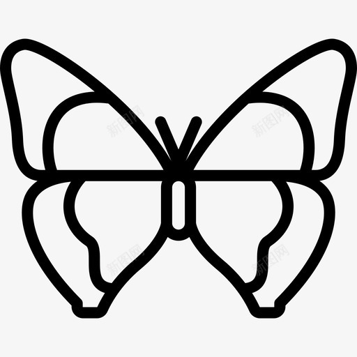 蝴蝶蝴蝶2线状图标svg_新图网 https://ixintu.com 线状 蝴蝶 蝴蝶2