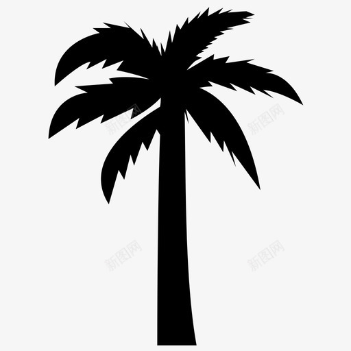 棕榈树椰子树椰子树实心图标svg_新图网 https://ixintu.com 棕榈树 椰子树 椰子树实心图标