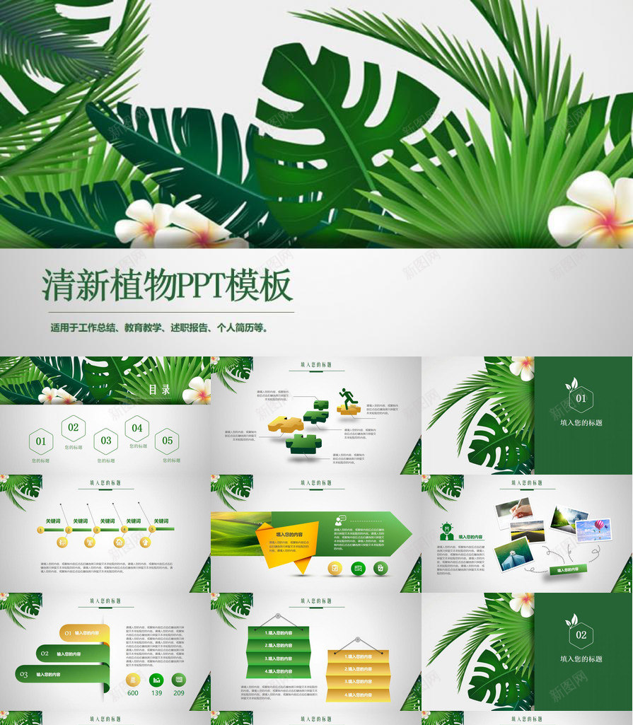 清新养眼绿色植物PPT模板_新图网 https://ixintu.com 养眼 清新 绿色植物