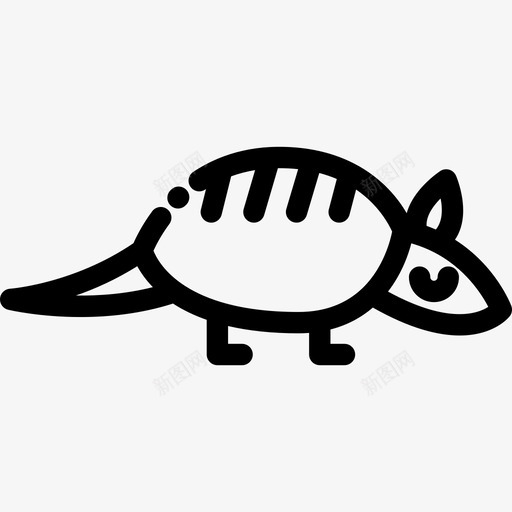犰狳动物31直系图标svg_新图网 https://ixintu.com 动物31 犰狳 直系