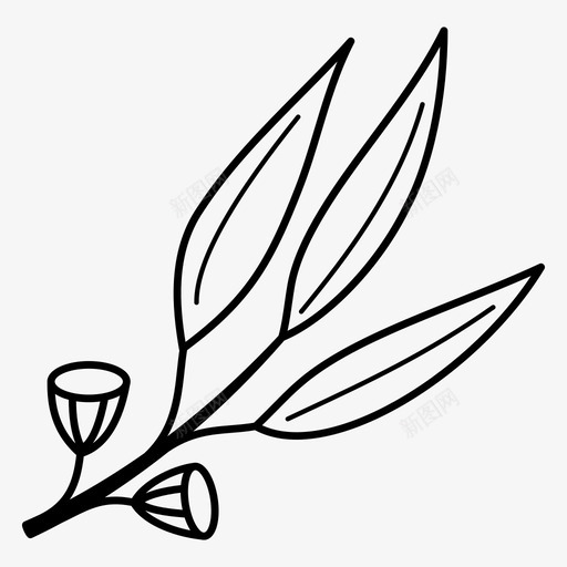 桉树花叶图标svg_新图网 https://ixintu.com 叶 桉树 自然 花