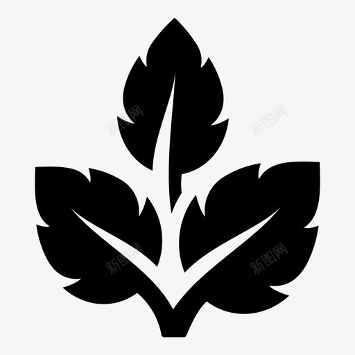 叶草药植物图标svg_新图网 https://ixintu.com 台灯叶闪光灯咖啡云美元袋 叶 植物 草药