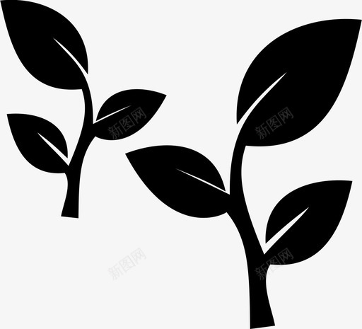 叶自然草药图标svg_新图网 https://ixintu.com 叶 自然 花 草药
