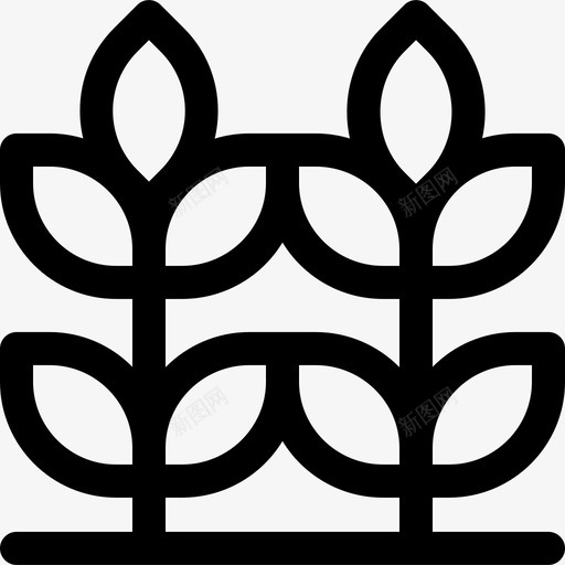 小麦霍利9号直系图标svg_新图网 https://ixintu.com 小麦 直系 霍利9号