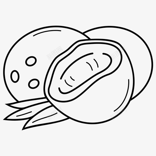 椰子异国水果食品图标svg_新图网 https://ixintu.com 异国水果 新鲜 椰子 食品