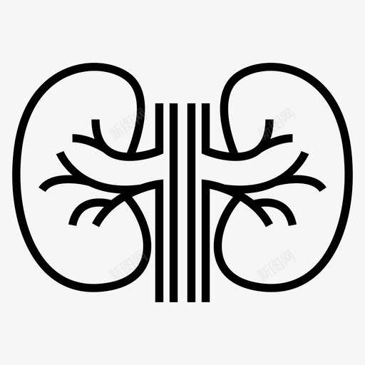 泌尿外科解剖学肾脏图标svg_新图网 https://ixintu.com 医疗器械2 器官 泌尿外科 肾脏 解剖学 输尿管