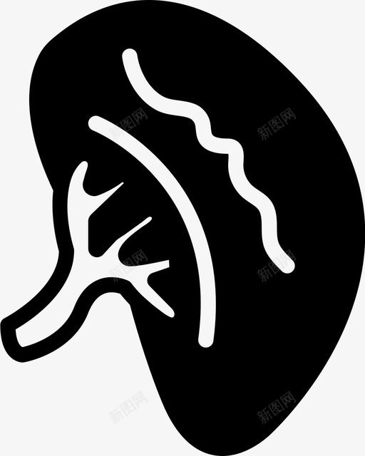 不健康的肾解剖学医生图标svg_新图网 https://ixintu.com 不健康的肾 医学 医学固体 医生 医院 解剖学
