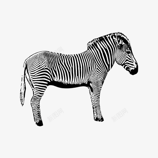 斑马非洲马图标svg_新图网 https://ixintu.com 斑马 条纹 狩猎 非洲 马