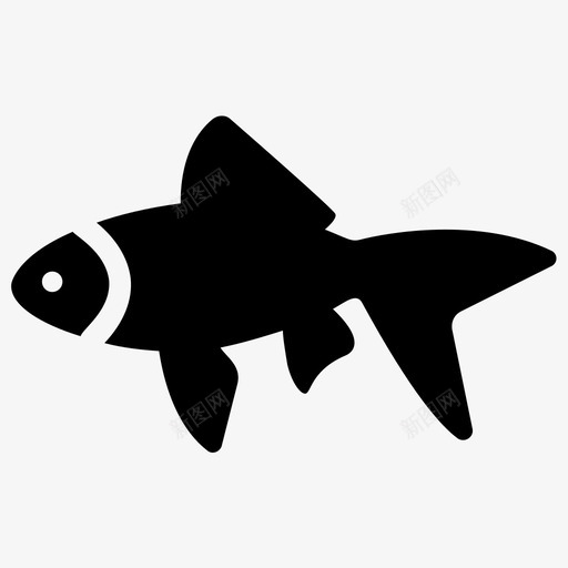 金鱼水族馆鱼淡水鱼图标svg_新图网 https://ixintu.com 宠物用品固体图标 宠物鱼 水族馆鱼 淡水鱼 金鱼