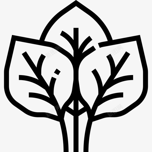 菠菜蔬菜7线状图标svg_新图网 https://ixintu.com 线状 菠菜 蔬菜7