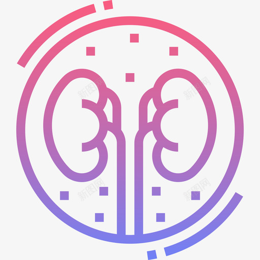 肾脏医学114线性梯度图标svg_新图网 https://ixintu.com 医学114 线性梯度 肾脏