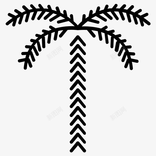 山毛榉树椰子树棕榈树图标svg_新图网 https://ixintu.com 夏季棕榈树 山毛榉树 棕榈树 棕榈树线条图标 椰子树